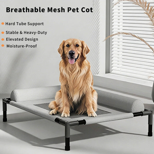 Elevated pet cot with hard tube frame, stable heavy-duty construction, and moisture-proof raised design, featuring a golden retriever sitting on it to showcase durability and comfort for large pets.