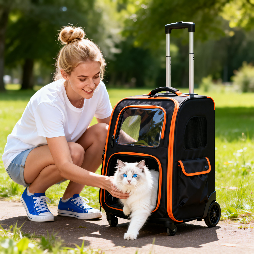Airline Approved Carriers & Backpacks