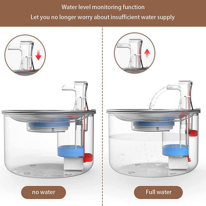 Smart Stainless Steel Water Fountain