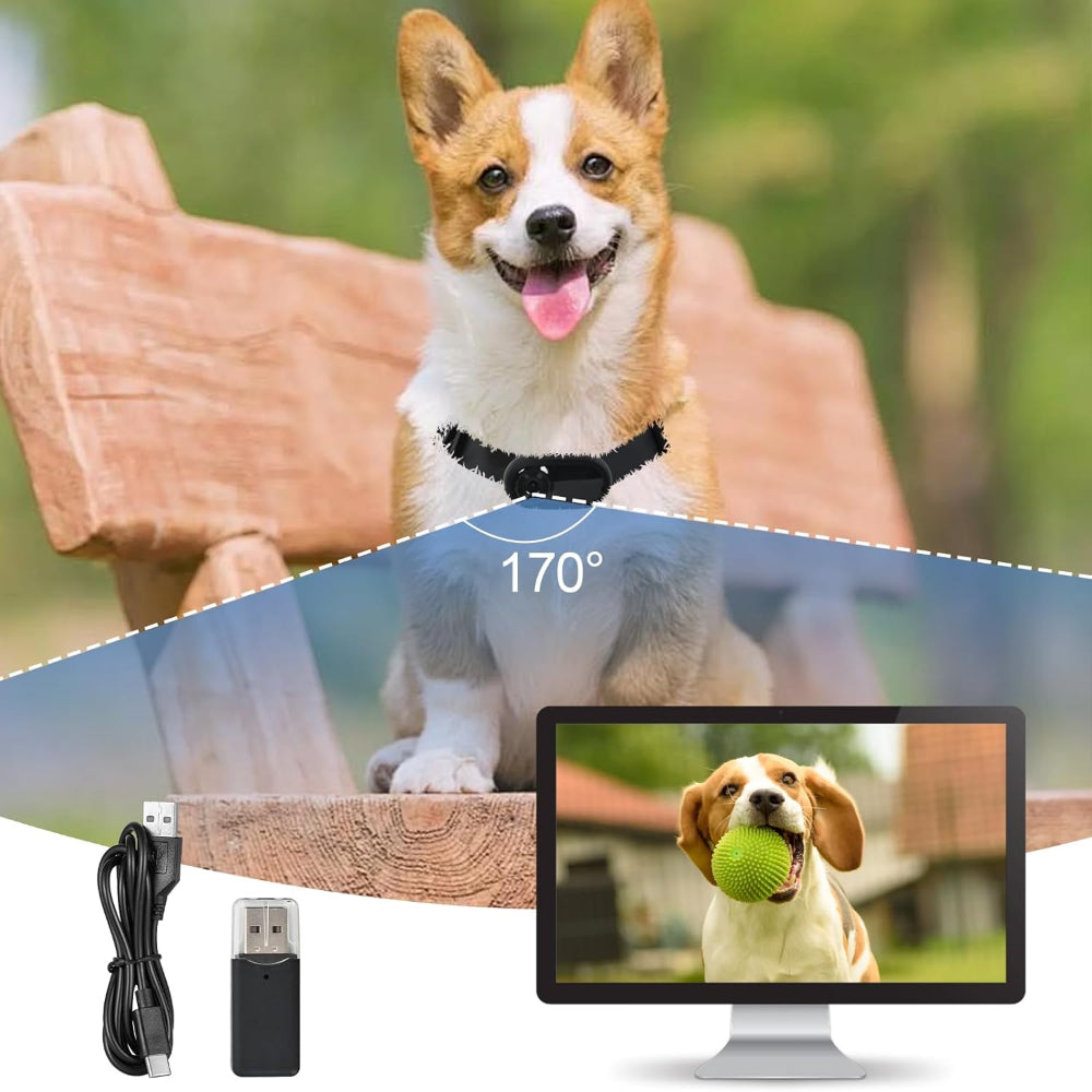 170° wide-angle pet collar camera with easy USB connectivity – a dependable solution to address pet parents’ need for comprehensive oversight, allowing you to view your pet’s world in full detail during walks and playtime.