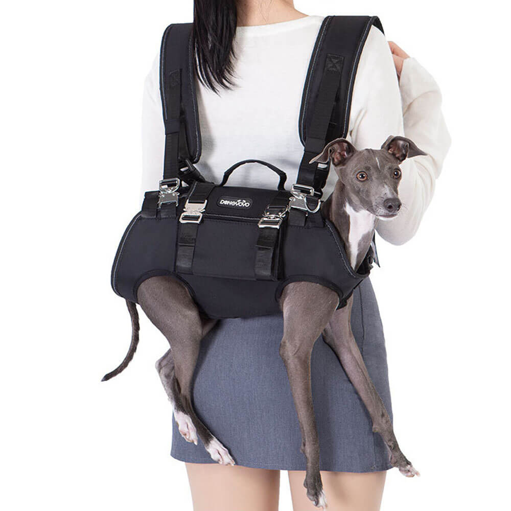 Black 4-in-1 pet backpack carrier worn as a double shoulder backpack, carrying a small Italian Greyhound, ideal for hiking, travel, and daily walks with small dogs.
