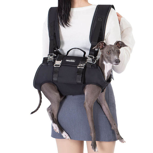Black 4-in-1 pet backpack carrier worn as a double shoulder backpack, carrying a small Italian Greyhound, ideal for hiking, travel, and daily walks with small dogs.
