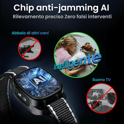 providing a fair and effective training experience