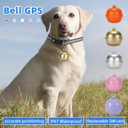 Labrador wearing a dog GPS bell tracker with accurate positioning, IP67 waterproof, and replaceable SIM card, solving the troubles of inaccurate tracking, water damage, and limited global use.