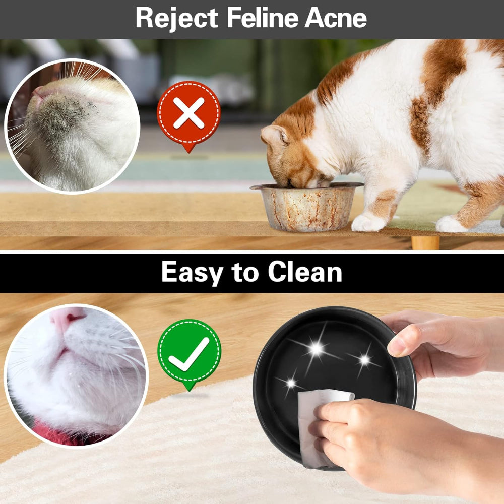 Ceramic cat bowl prevents feline acne (compare to dirty bowls causing skin issues) and is easy to clean, promoting healthy skin for cats – a must-have feeding solution for cat owners