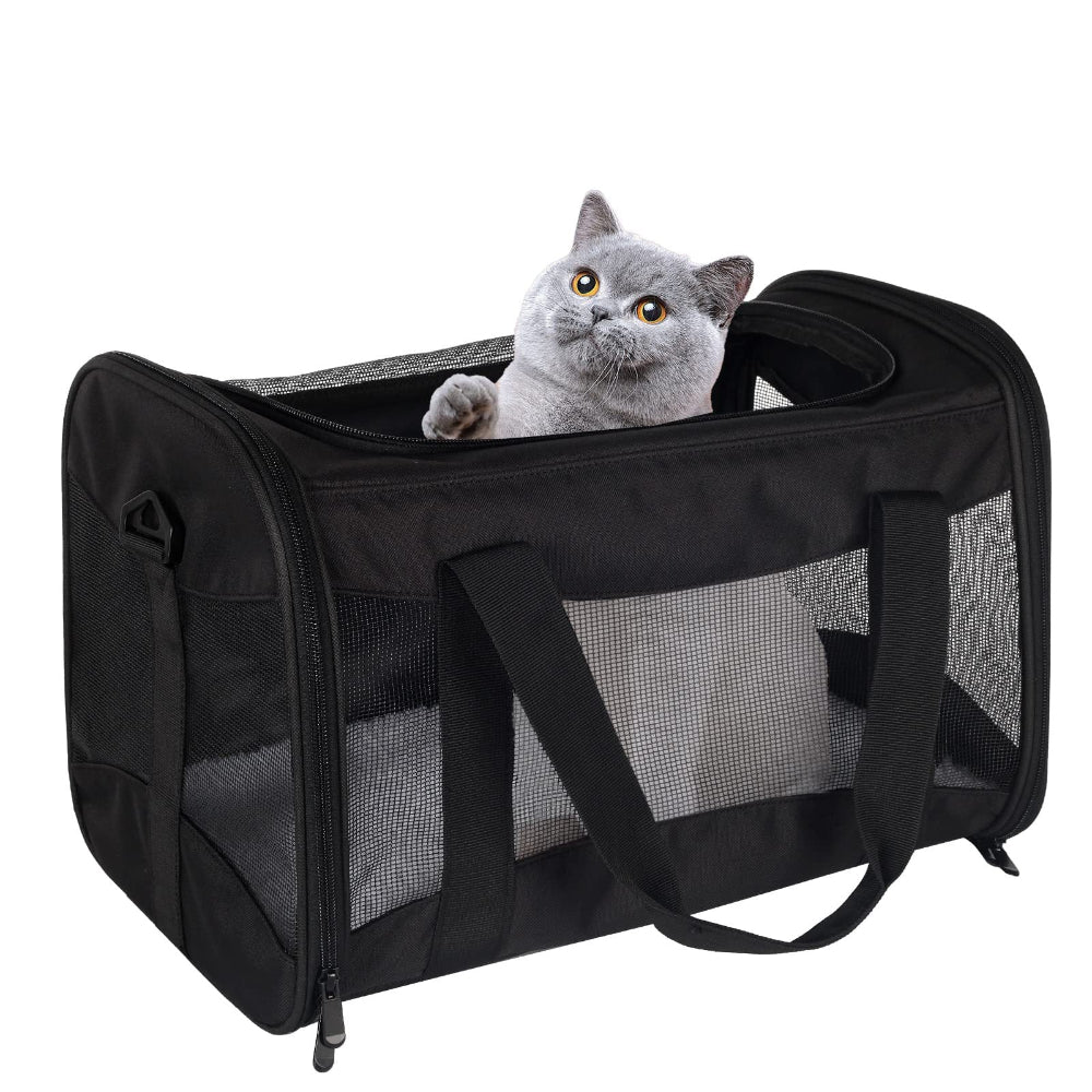 Black pet carrier with a grey cat inside – a stylish solution to address aesthetic and pet compatibility concerns, featuring a timeless design that fits cats/small dogs for any travel scenario.