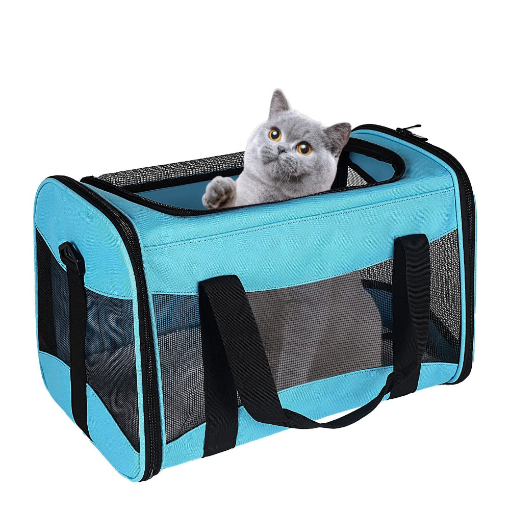 Blue pet carrier with a grey cat, showcasing mesh panels for airflow and durable construction – a versatile solution to meet your color choice, ensuring your pet stays comfortable and safe during daily outings.