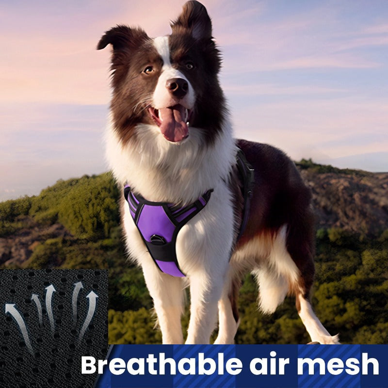 No - Pull Dog Harness with Breathable Mesh