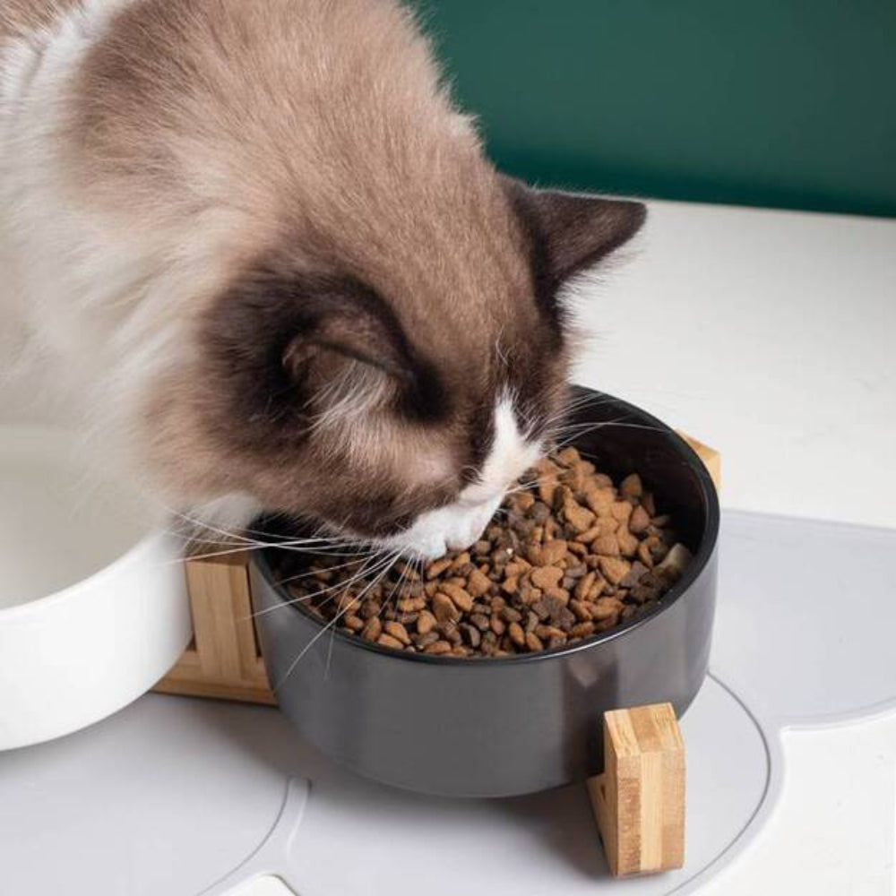 Ragdoll cat eating kibble from a black ceramic pet food bowl on a bamboo stand, accompanied by a white water bowl, ideal for ergonomic feeding of cats and dogs.