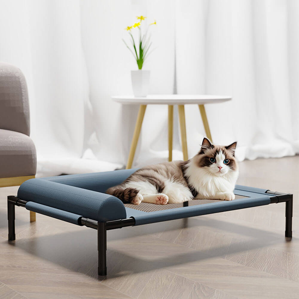 A fluffy cat sitting comfortably on a blue elevated pet cot, showcasing the bed’s compact size, breathable mesh, and soft bolster design perfect for cats and small dogs.
