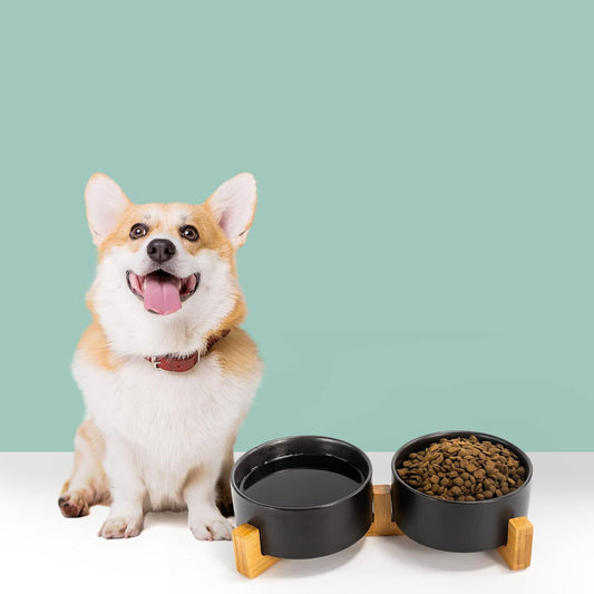 Corgi with ceramic dual pet bowls (black food and water dishes) on a bamboo stand, perfect for small to medium dogs and cats, featuring an elevated design for comfortable feeding