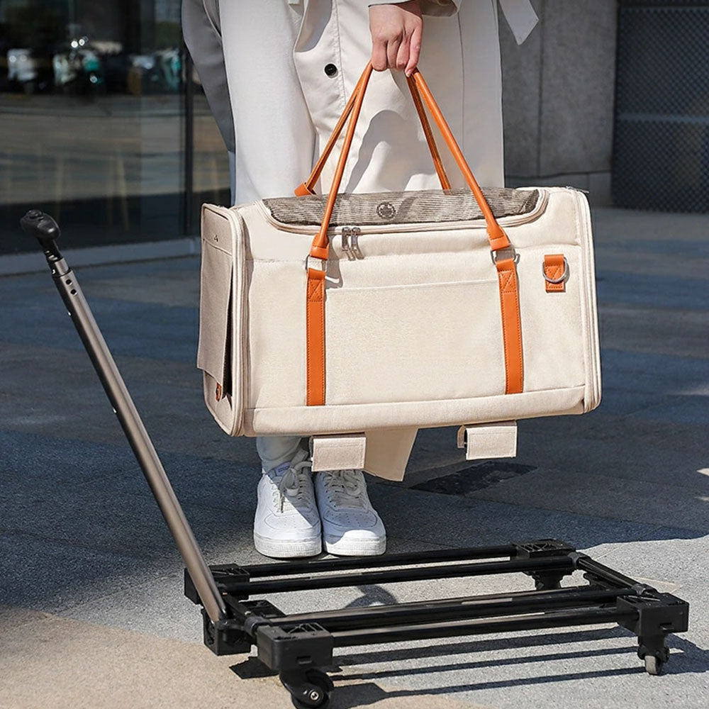 Detachable pet carrier with wheels, shown separated from its rolling base, convertible between a handbag and rolling carrier for versatile travel with small dogs and cats.
