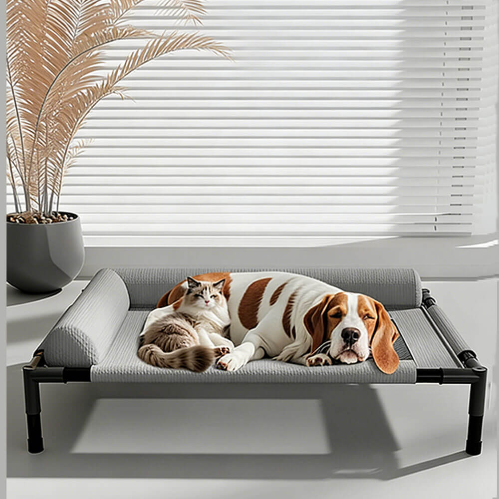 A dog and a cat resting together on a gray elevated pet cot with semi-enclosed bolster pillows, showcasing the bed’s versatility for multi-pet households, indoor use, and comfortable design.