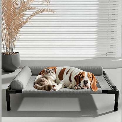 A dog and a cat resting together on a gray elevated pet cot with semi-enclosed bolster pillows, showcasing the bed’s versatility for multi-pet households, indoor use, and comfortable design.