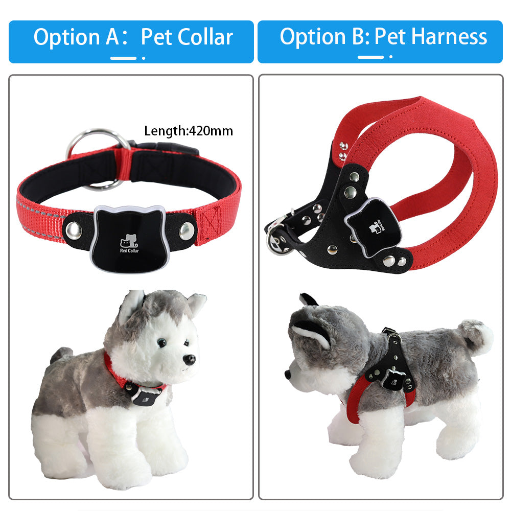 GPS pet tracker available in collar or harness style, shown on a plush dog model – a flexible solution to address different pet wearing preferences, ensuring a comfortable fit for dogs and cats of any size.
