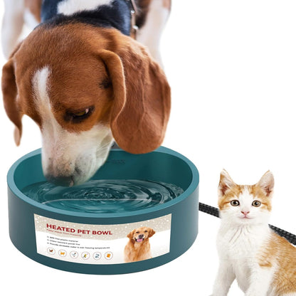 Heated pet water bowl with a Beagle dog drinking and a kitten nearby – a versatile solution to meet winter ice-free hydration needs for both dogs and cats in your home.