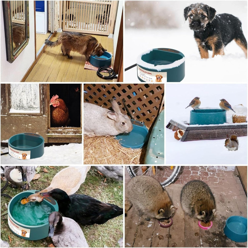 Collage of heated pet water bowl used by dogs, chickens, rabbits, birds & more – a multi-purpose solution to ensure all your pets and poultry have accessible, ice-free water in cold winter weather.