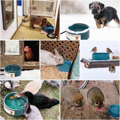 Collage of heated pet water bowl used by dogs, chickens, rabbits, birds & more – a multi-purpose solution to ensure all your pets and poultry have accessible, ice-free water in cold winter weather.