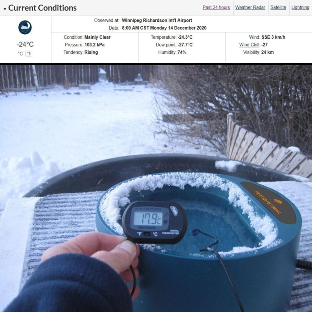 Heated pet bowl showing 17.9℃ water temperature in -24℃ environment (Winnipeg, Dec 2020) – a reliable solution to end pets’ lack of liquid water in extreme cold, proving effective anti-freeze performance.