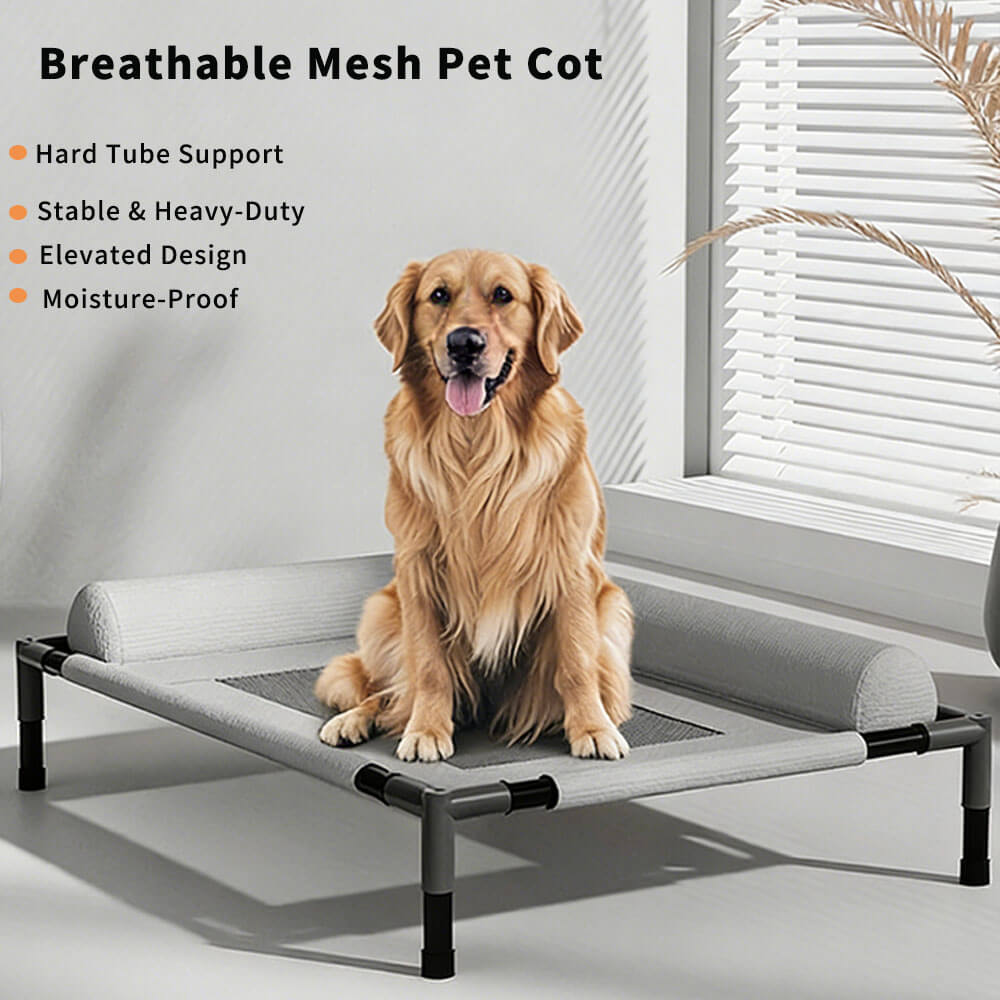 Elevated pet cot with hard tube frame, stable heavy-duty construction, and moisture-proof raised design, featuring a golden retriever sitting on it to showcase durability and comfort for large pets.