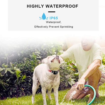 IP65 waterproof pet tracker collar on a dog playing with water – a reliable solution to end fears of tracker damage from water, letting your pet enjoy outdoor play or bath time while staying tracked.