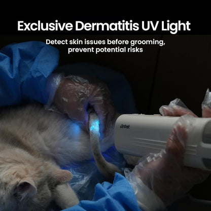 Jirpet pet dryer with exclusive dermatitis UV light – a proactive solution to ease pet parents’ fear of hidden skin issues, letting you detect and prevent infections before grooming, ensuring your pet’s skin stays healthy.