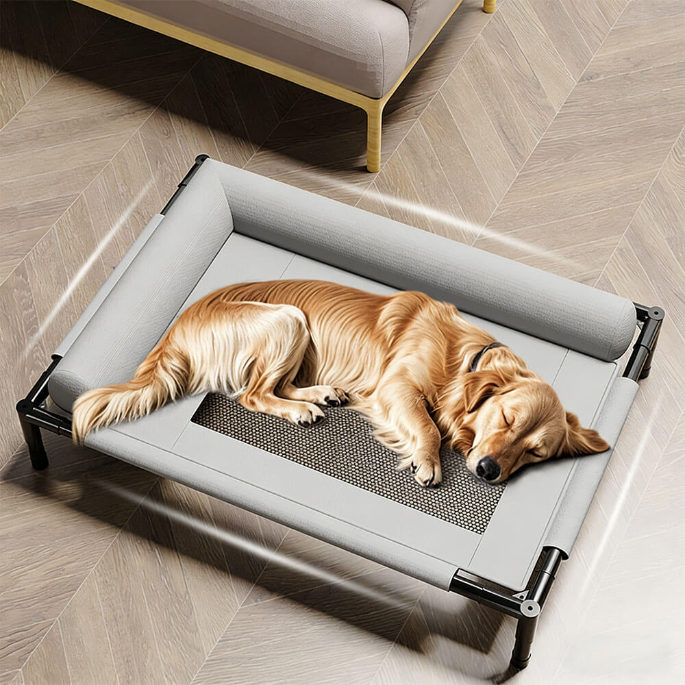 Golden Retriever sleeping comfortably on an elevated pet cot, demonstrating the bed's 130lbs weight capacity, anti-moisture raised design, and supportive semi-enclosed bolster for large dogs.