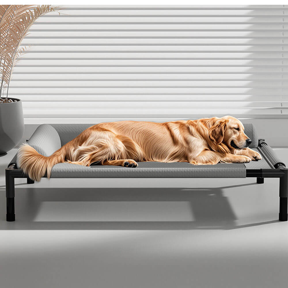 Side view of a golden retriever stretching comfortably on a gray elevated pet cot, demonstrating the bed’s spacious size, 17cm raised anti-moisture design, and soft bolster edges.
