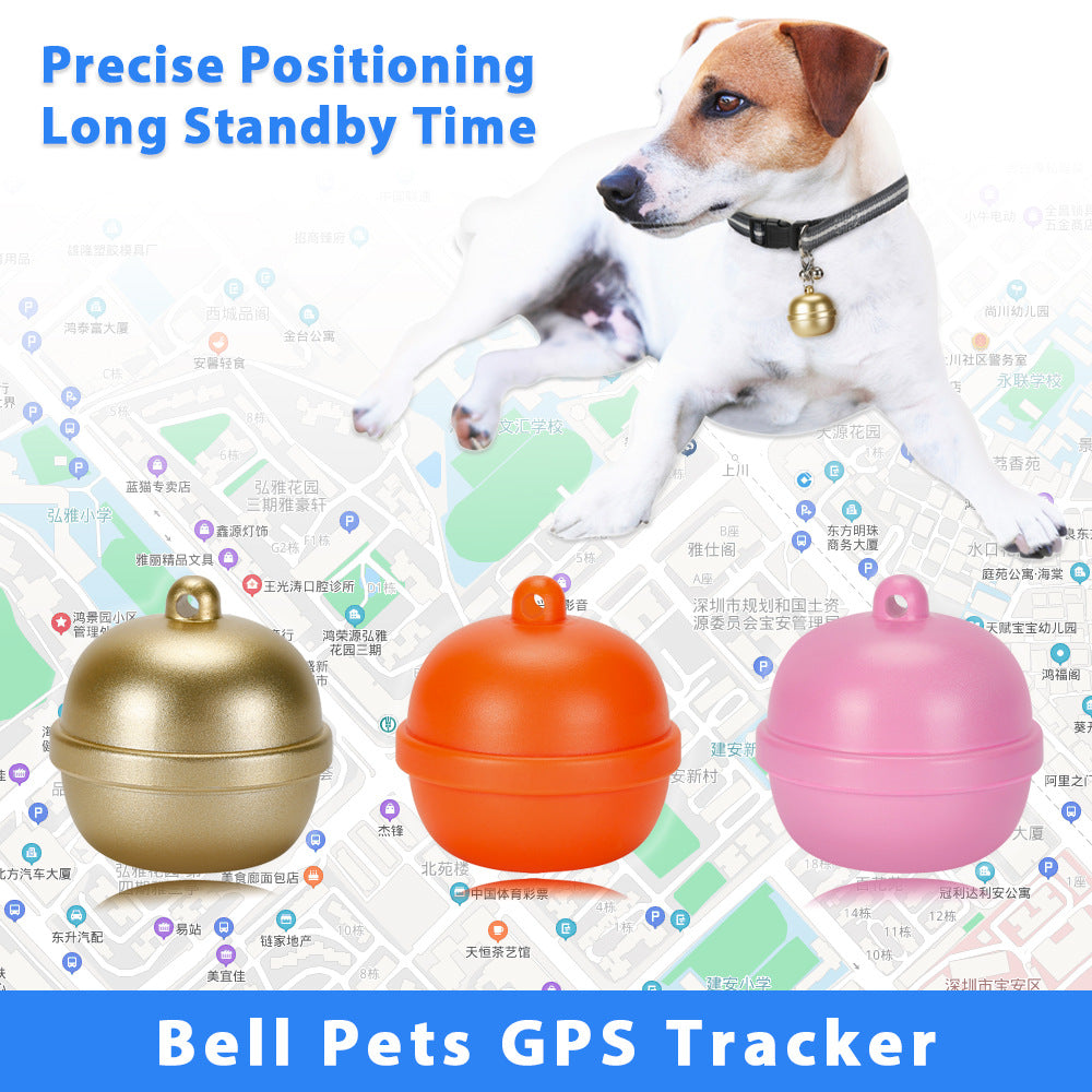 A Jack Russell Terrier wears a dog GPS bell tracker with precise positioning and long standby time, which is reliable for real-time tracking of outdoor active pets.