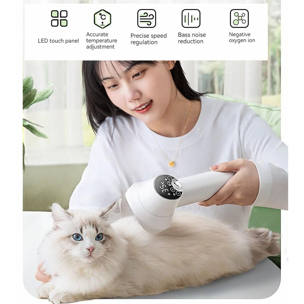 A calm Ragdoll cat being dried with a quiet, 2-in-1 pet hair dryer and brush by its owner, preventing skin infections from damp fur and avoiding expensive salon visits.