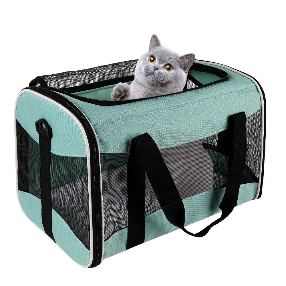 Mint green pet carrier with a grey cat inside – a calming solution to ease your pet’s travel stress, featuring ventilated mesh and a cozy space for cats/small dogs during journeys or vet appointments