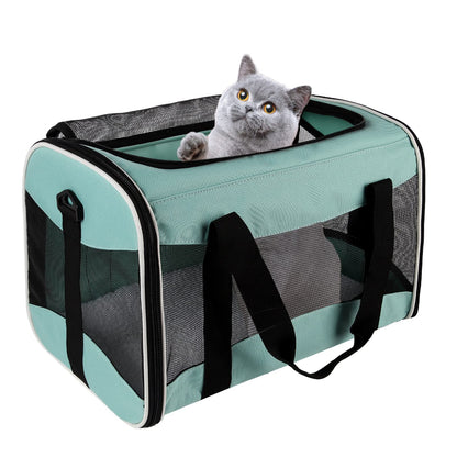 Mint green pet carrier with a grey cat inside – a calming solution to ease your pet’s travel stress, featuring ventilated mesh and a cozy space for cats/small dogs during journeys or vet appointments