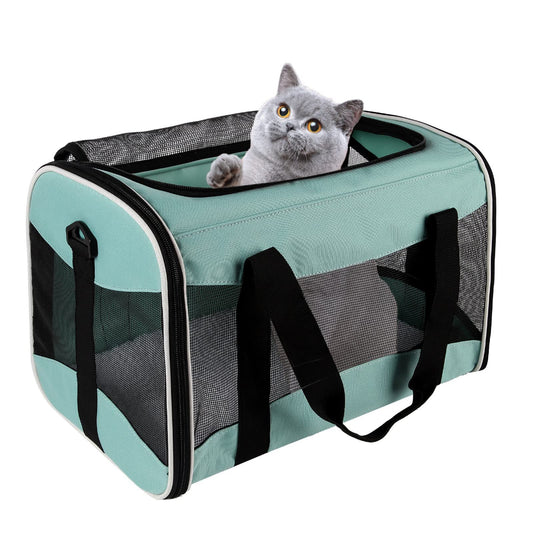 Mint green pet carrier with a grey cat inside – a calming solution to ease your pet’s travel stress, featuring ventilated mesh and a cozy space for cats/small dogs during journeys or vet appointments