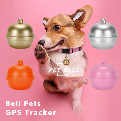 Corgi wearing a stylish multi-color (gold/silver/orange/pink) dog GPS bell tracker, solving the pain point of limited color options for pet tracking devices that fail to match your pet’s style.