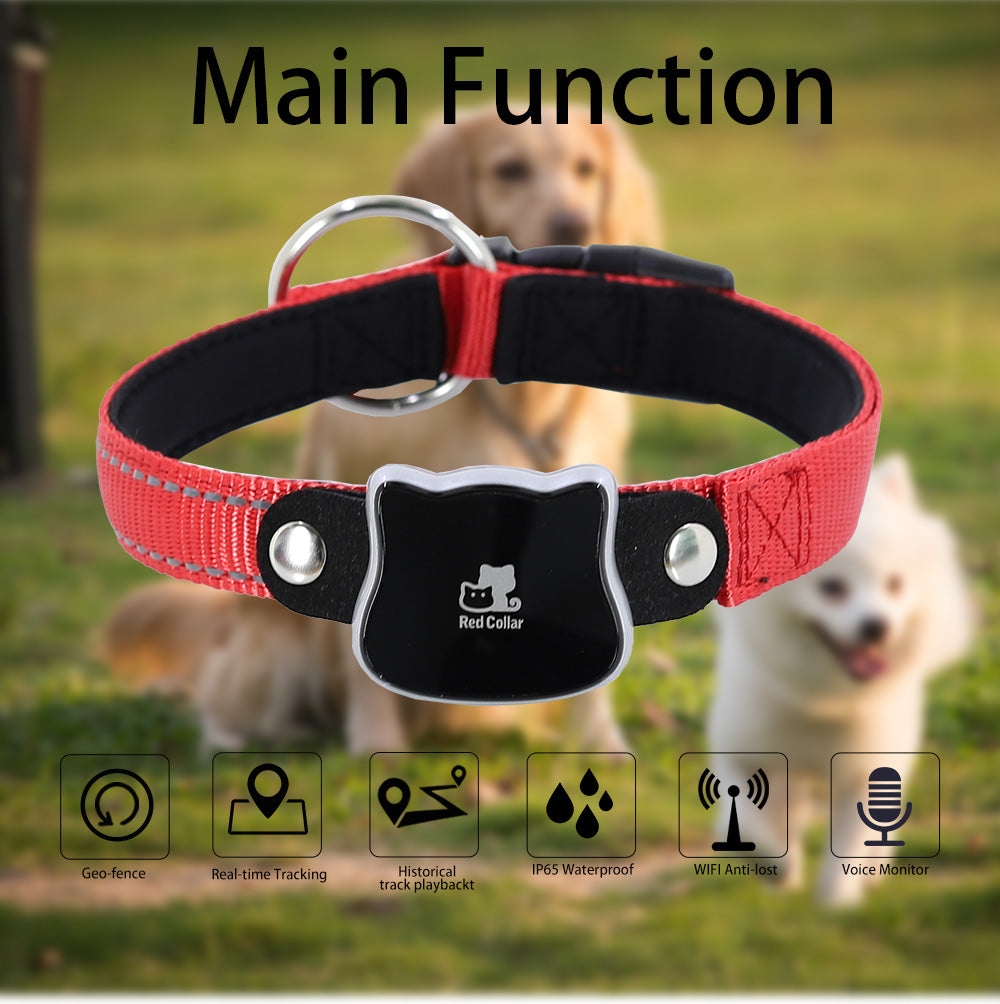 Pet tracker collar with icons of geo-fence, real-time tracking, waterproof, etc. – a comprehensive solution to address concerns about limited features, offering multiple functions to keep your pet safe in any situation.