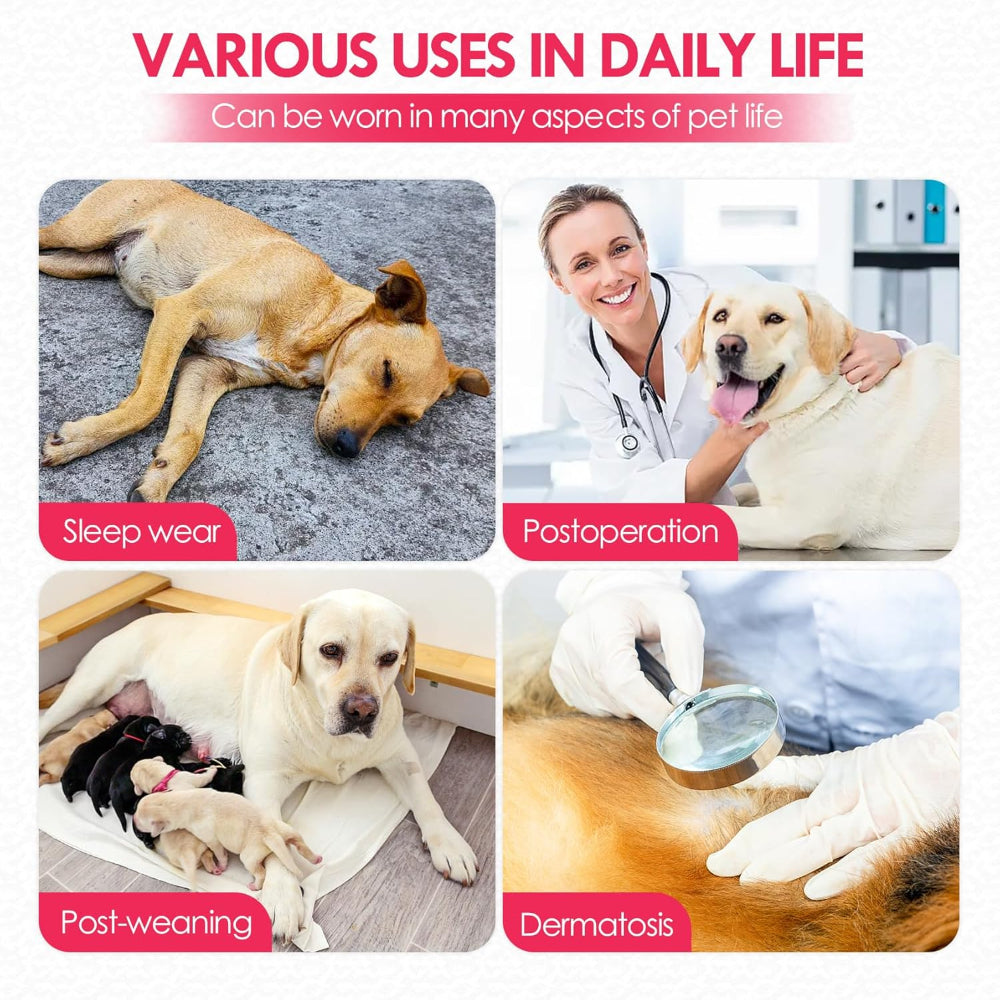 Dog recovery suit for various daily life uses including sleep, post-operation, post-weaning, and dermatosis – a versatile solution to meet multiple pet care needs, ensuring your dog is supported in every stage of life.