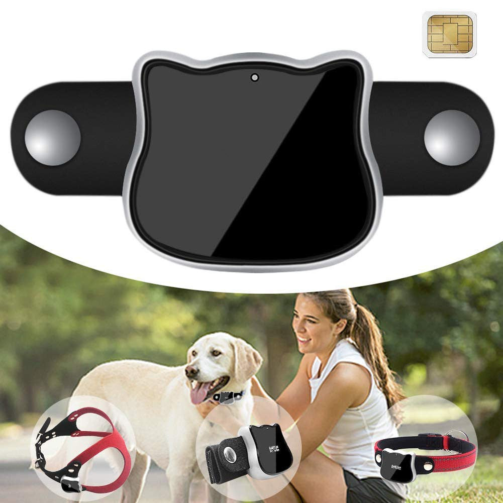 GPS pet tracker shown on collar, harness, and band, with a dog and owner outdoors – a versatile solution to eliminate single-use limitations, working with various pet accessories to keep your furry friend tracked anywhere.