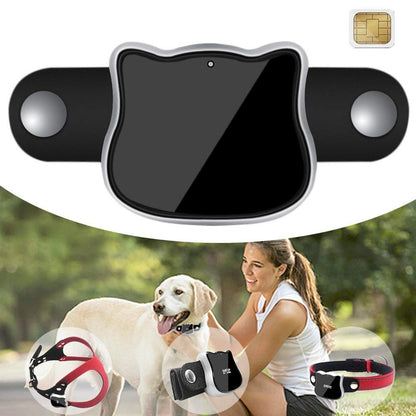 GPS pet tracker shown on collar, harness, and band, with a dog and owner outdoors – a versatile solution to eliminate single-use limitations, working with various pet accessories to keep your furry friend tracked anywhere.