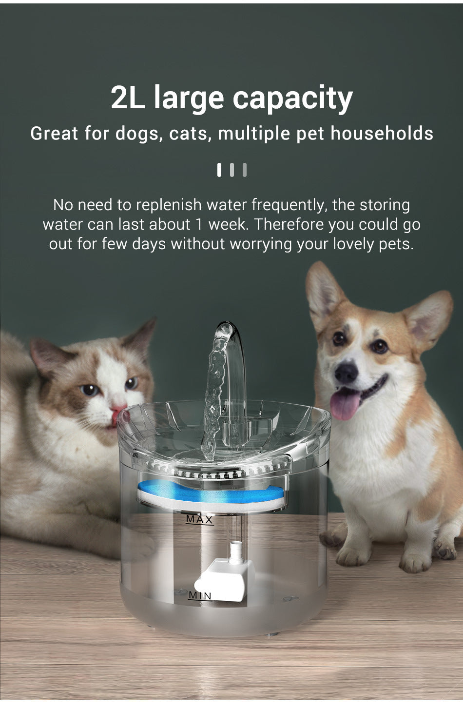 Pet Dispenser Fountain Solve Dehydration Worries for Dogs & Cats