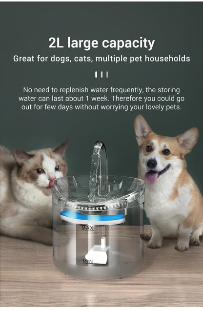 Pet Dispenser Fountain Solve Dehydration Worries for Dogs & Cats