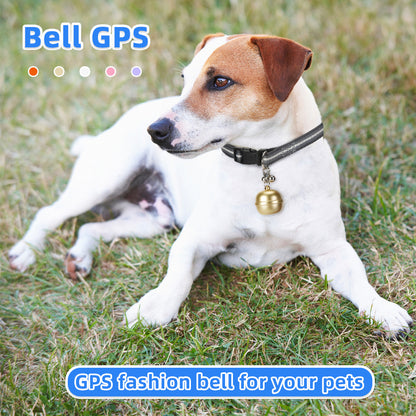 Jack Russell Terrier relaxing outdoors with a lightweight, fashionable dog GPS bell tracker, which won’t cause discomfort to your pet during outdoor activities.