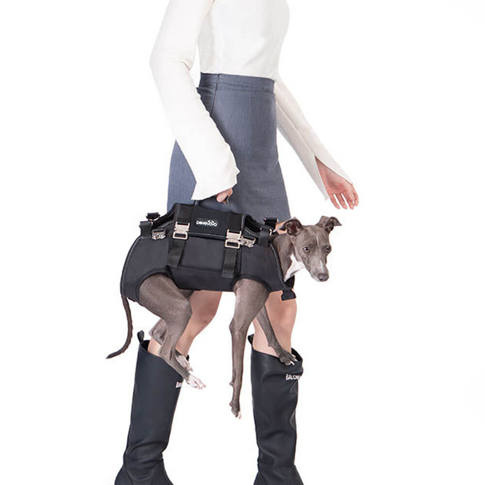 Black portable dog carrier bag used as a handheld tote, with a small Italian Greyhound inside, showing dual carrying options for convenient pet travel.