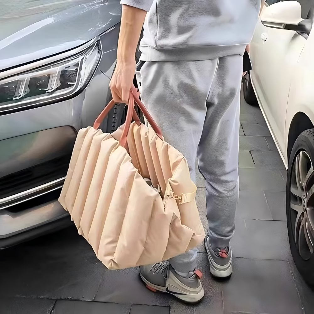 Lightweight pet carrier bag being carried beside cars, perfect for easy transportation of small dogs and cats during outings