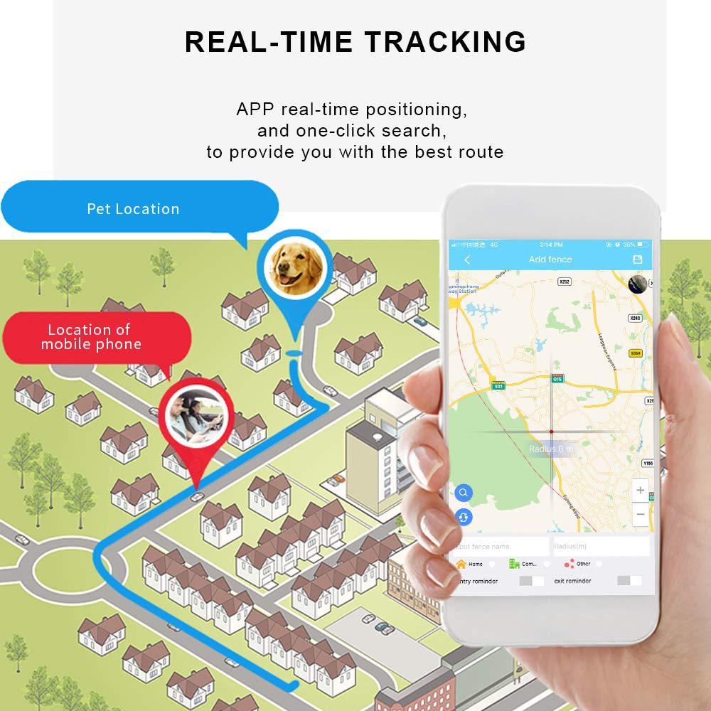 Real-time GPS pet tracker shown on app with pet and phone location – a reassuring solution to eliminate anxiety about losing your pet, providing instant location tracking to find them quickly.