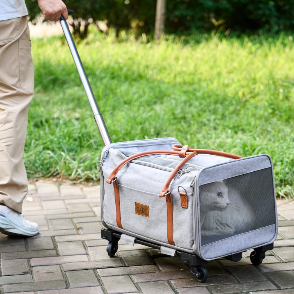 White cat in a rolling pet carrier with telescoping handle, being pulled on a sidewalk for stress-free outdoor walks, ideal for small pets and easy travel.