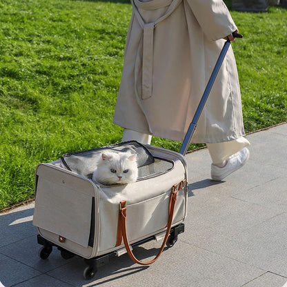White cat in a rolling pet carrier with telescoping handle, being pulled on a sidewalk for stress-free outdoor walks, ideal for small pets and easy travel.
