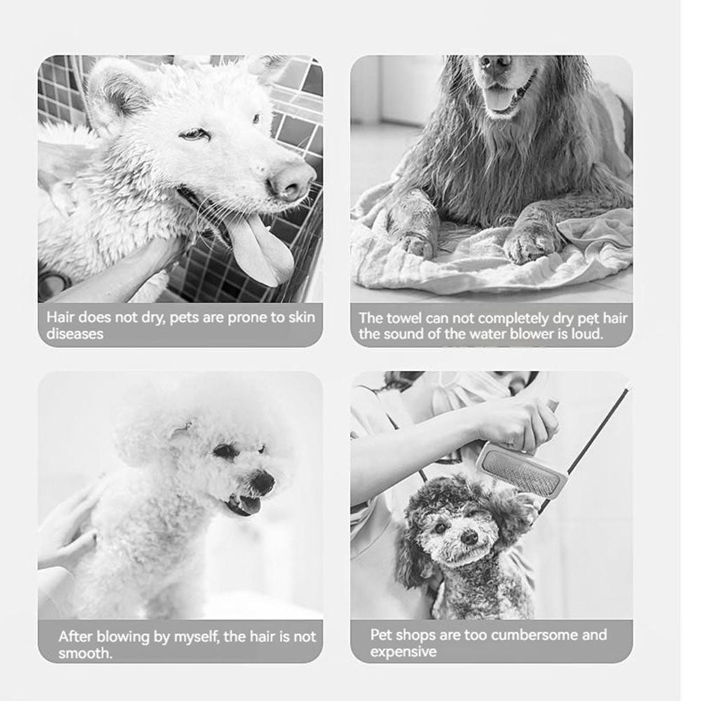 Common pet grooming pain points: damp fur causing skin diseases, noisy dryers stressing pets, frizzy hair after home drying, and costly salon visits — all solved by our 2-in-1 dryer brush.