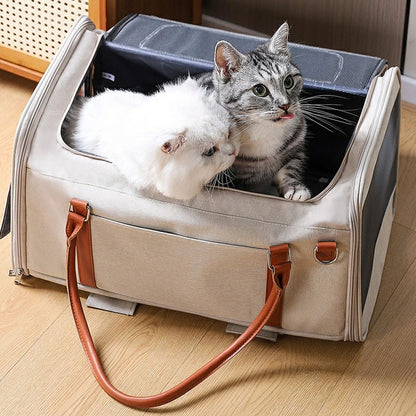 Two cats comfortably inside a spacious pet carrier, designed for multiple small pets, with durable handles and a roomy interior for stress-free travel.