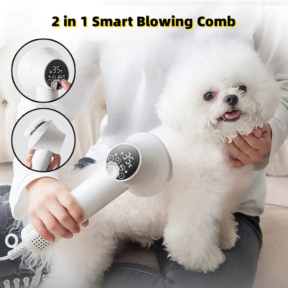 A calm Bichon Frise being groomed with a 2-in-1 pet dryer brush, showing how the all-in-one design makes at-home grooming easy and stress-free for both pets and owners.