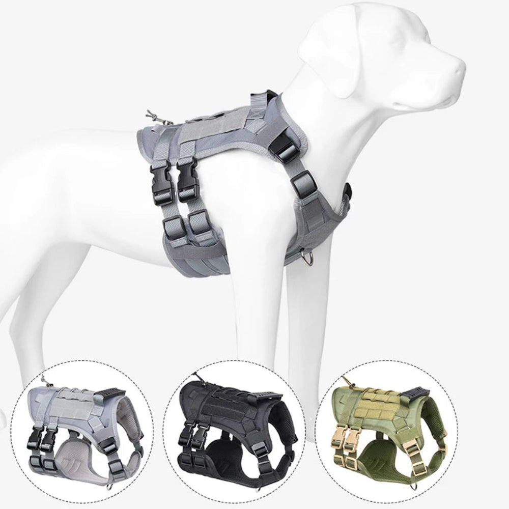 Tactical dog harness in gray, black, and olive green on a dog mannequin – a durable, adjustable solution to stop pulling, trusted for outdoor training and hikes, letting your pup enjoy comfortable, secure adventures while matching your style.